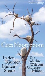 In den Bäumen blühen Steine 